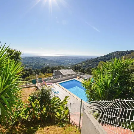 Pet Friendly In St Andrea Di Cotone Careggia