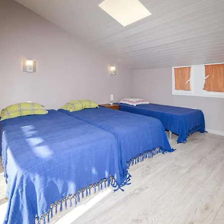 Pet Friendly In St Andrea Di Cotone