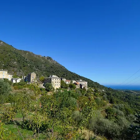 In St Andrea Di Cotone